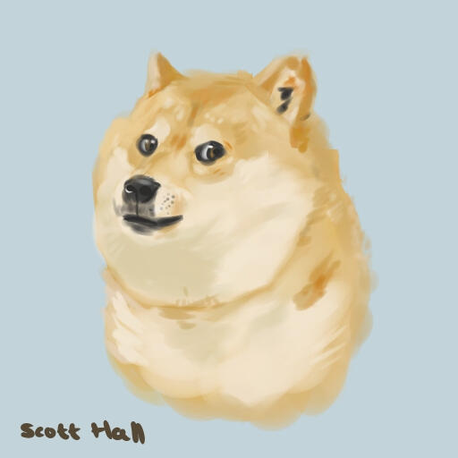 Doge